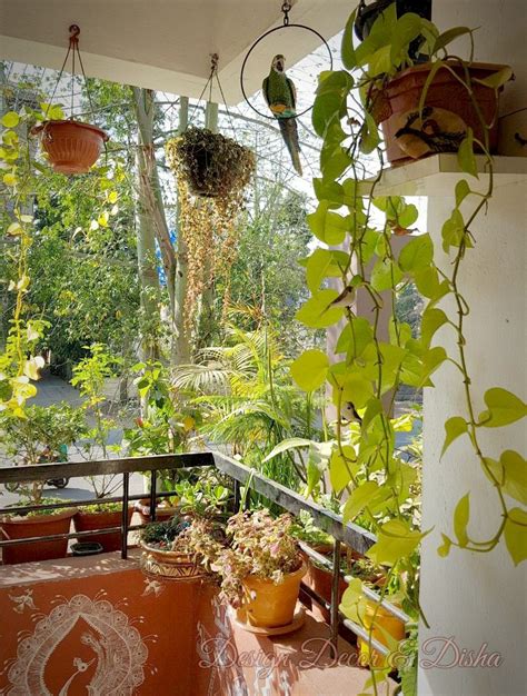 11+ Apartment Balcony Balcony Garden Ideas India Pictures