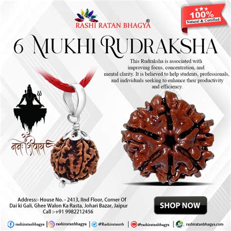 Wholesale Mukhi Rudraksha Online From Rashi Ratan Bhagya Mukhi