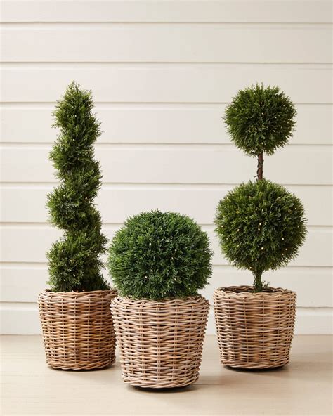 Outdoor LED Cypress Artificial Topiary | Balsam Hill | Outdoor topiary ...