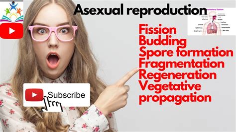 Asexual Reproduction Fission Budding Spore Formation Fragmentation Regeneration Vegetative