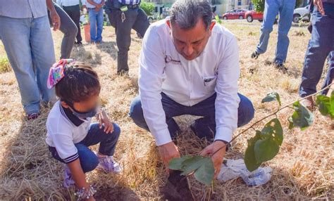 Arranca En Coatzacoalcos Programa Fabricando Agua Reforestando