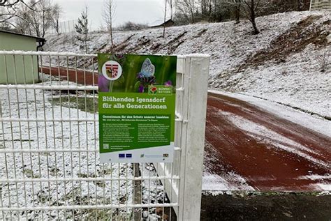 Blühpakt Bayern Pflanzaktion für eine blühende Kommune Regierung von