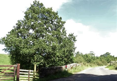 Bridge Over Greystoneley Brook Philandju Cc By Sa Geograph