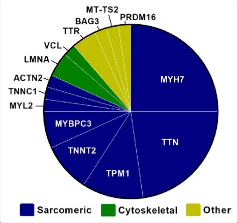 Distribution Of Genes For Pathogenic And Likely Pathogenic Variants