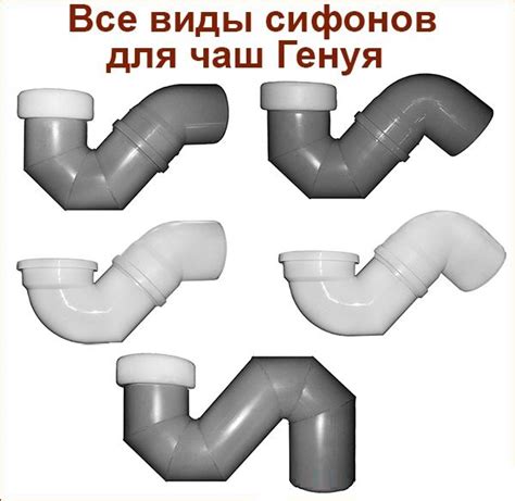 Сантехник ...: Сифон для чаши Генуя — виды, монтаж