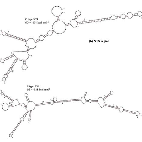 Figure Predicted 6 Predicted Secondary Secondary Structures Structures