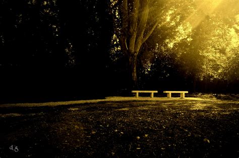 Fondos De Pantalla Luz De Sol Paisaje Bosque Luz De La Calle Italia Noche Naturaleza