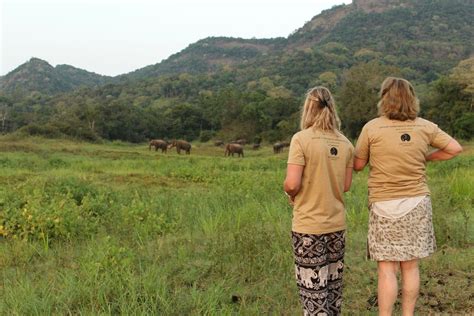 Wildlife Animal Conservation Projects Abroad Volunteer With Animals