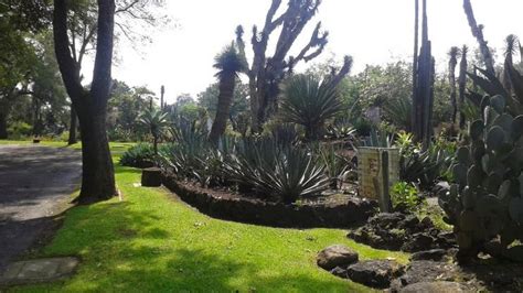 UNAM Botanical Garden