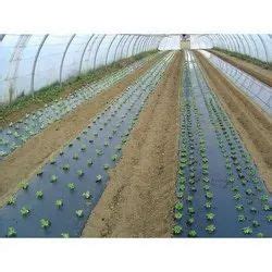 Biodegradable Mulch Film - Agriculture Film Wholesaler & Wholesale ...