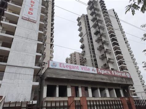 Bhk Apartment Flat For Sale In Elegant Infracon Noida Extension