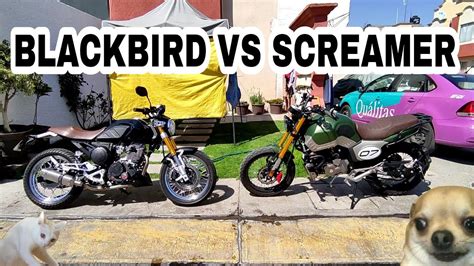 Italika Blackbird 250 VS Vento Screamer 250 Motocicletas Retro Que