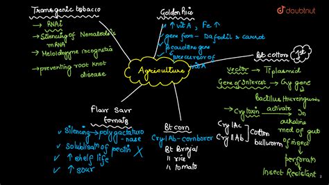 SOLUTION Mind Map Biotechnology And It S Applications Biology Class 12