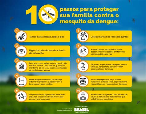 Dez Passos Ou Dez Minutos Para Combater A Dengue Em Sua Casa