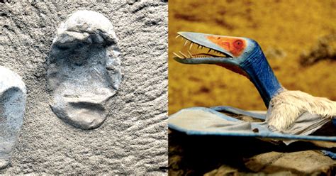 Scientists Uncover 215 Perfectly Preserved Pterosaur Eggs In China