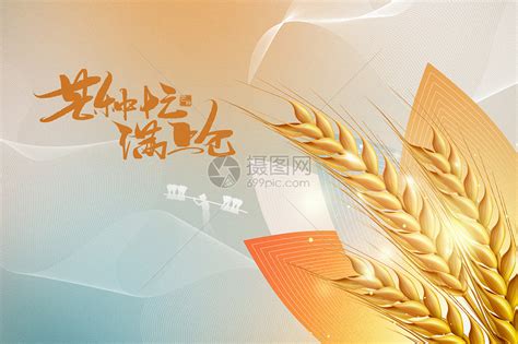 芒种金色创意唯美麦穗图片素材 正版创意图片402469584 摄图网