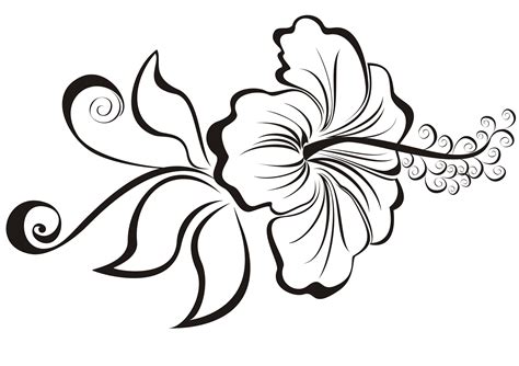 Hibiscus Flower Drawing - ClipArt Best