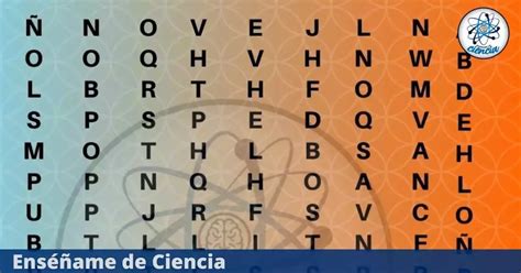 Desafío visual Si encuentras la palabra ENFERMERÍA en 6 segundos