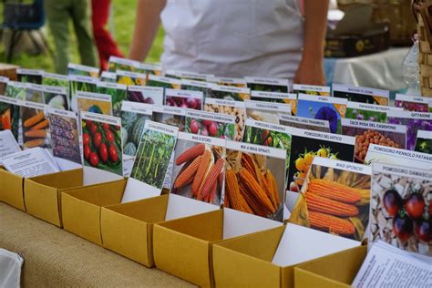 A Scandicci Torna La Maratona Di 72 Ore Sulla Biodiversità Lungarno