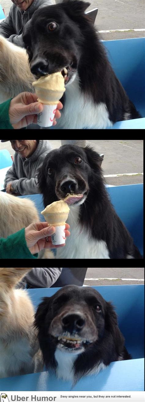 Bliss Funny Pictures Quotes Pics Photos Images Videos Of Really