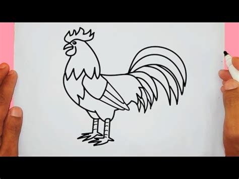 Comment Dessiner Un Coq Tape Par Tape Youtube