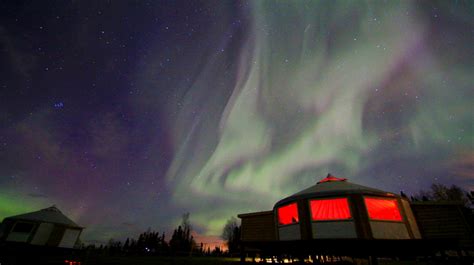 Alaska Aurora Borealis Tours AK Dinner Included | 1st Alaska Tours