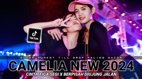 Dugem Paling Gacor Dj Camelia X Cinta Tiga Segi Spesial New