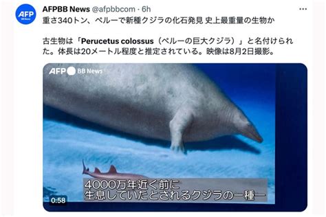 Perucetus colossus así reaccionó la prensa mundial ante fabuloso