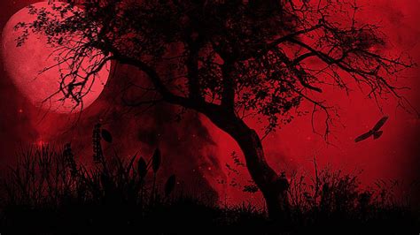Bloody Background