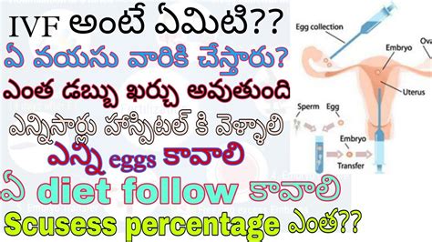 Ivf What Is Ivf Ivf Procedure Step By Step In Telugu Ivf Doubts Ivf