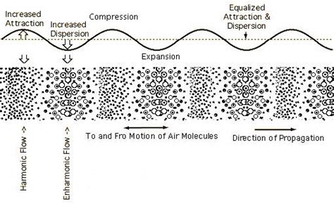 Diagram Of A Compression Wave - chartdevelopment