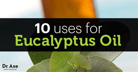 Top 10 Eucalyptus Oil Uses And Benefits Dr Axe