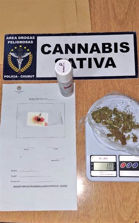 Secuestraron Marihuana Y Lsd En Ruta Radio Cadena Patagonia