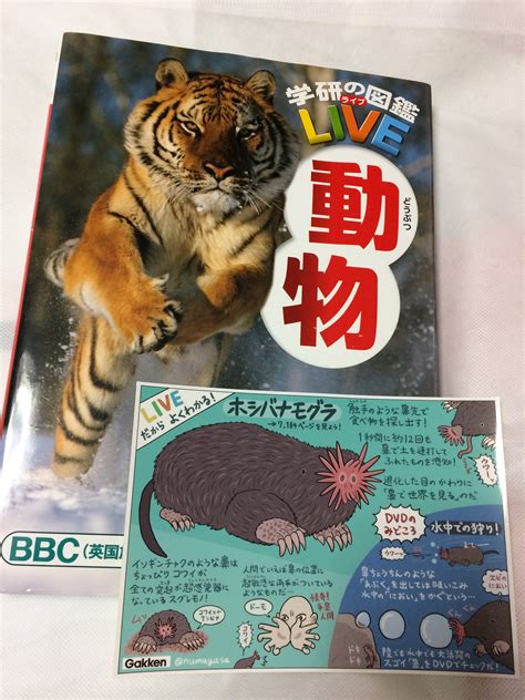 ぬまがさワタリ『ゆかいないきもの超図鑑』38発売 On Twitter 標本でもcgでもなく生きた昆虫2700種をリアルに撮影した