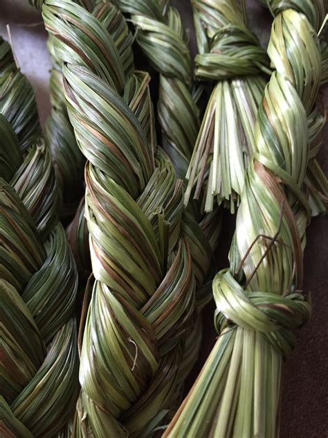 Sweetgrass Braid Etsy