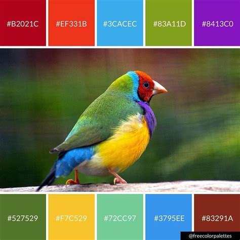 a colorful bird sitting on top of a piece of wood next to color swatches