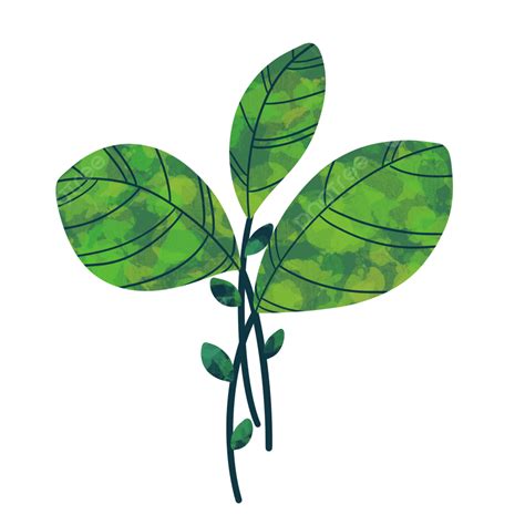 Ilustração De Folhas Verdes Png Leafs Folha Verde Folha Arte Imagem