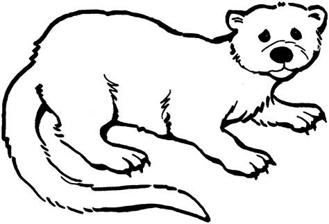 Free Otter Coloring Pages