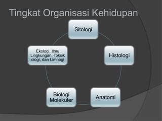 Ruang Lingkup Biologi PPT