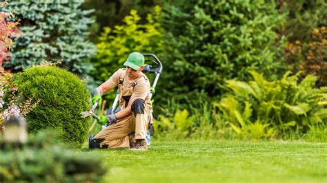 Pruning & Bush Trimming Services | Complete Grounds