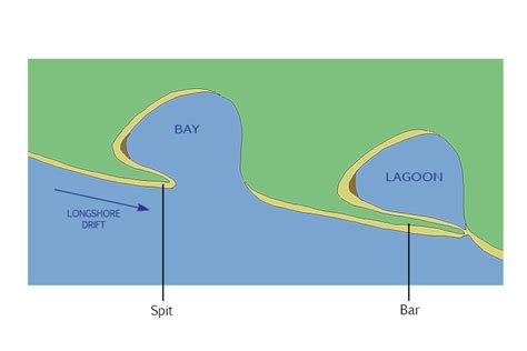 Diagram Of A Coast