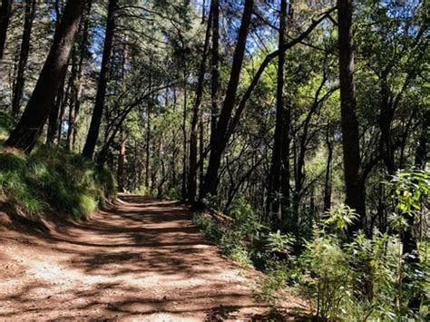 Top Imagen Ruta Desierto De Los Leones Abzlocal Mx