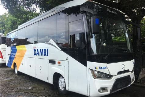 Foto DAMRI Kini Layani Bus Trayek Jawa Bali Tarif Mulai Rp 90 000