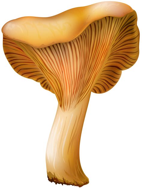 43 Best Ideas For Coloring Cartoon Mushroom Clip Art