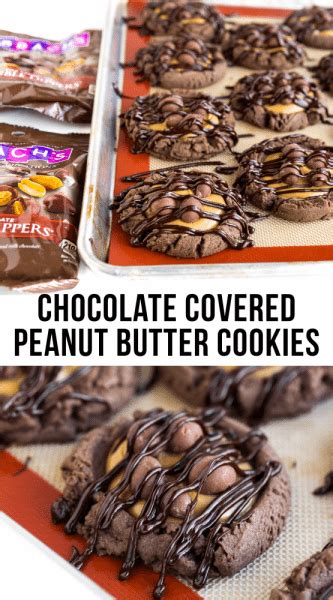 Chocolate Covered Peanut Butter Cookies • Love From The Oven