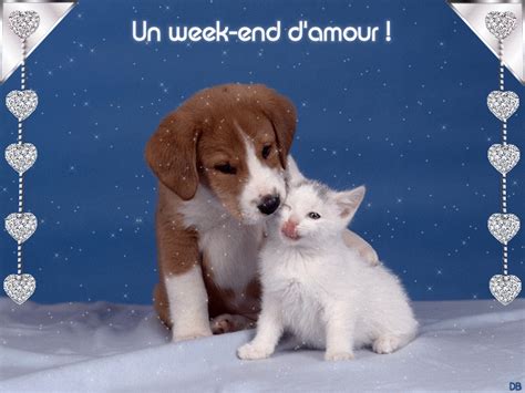 Bon Week End Gifs Animes Page