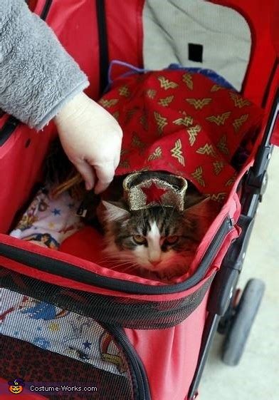Wonder Woman Cat Costume Mind Blowing Diy Costumes Photo 29