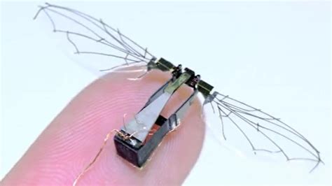 U.S. Air Force develops bio-inspired micro drones