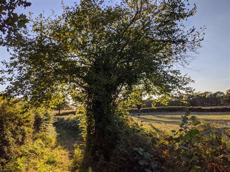 La Creuse V Lo G Te Les Cureuils