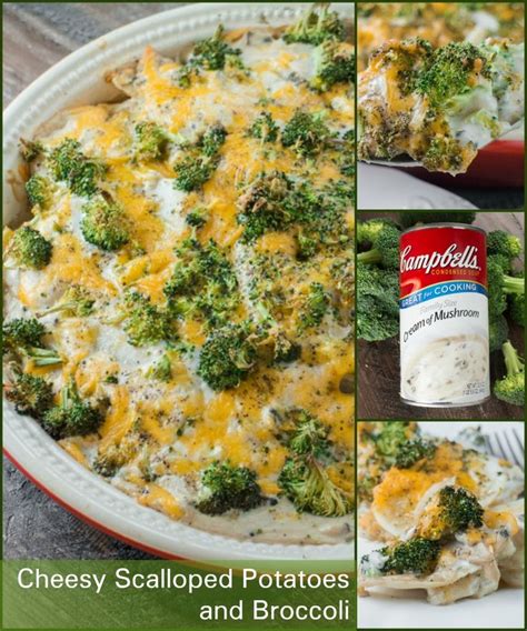 Cream Of Broccoli Mushroom Casserole